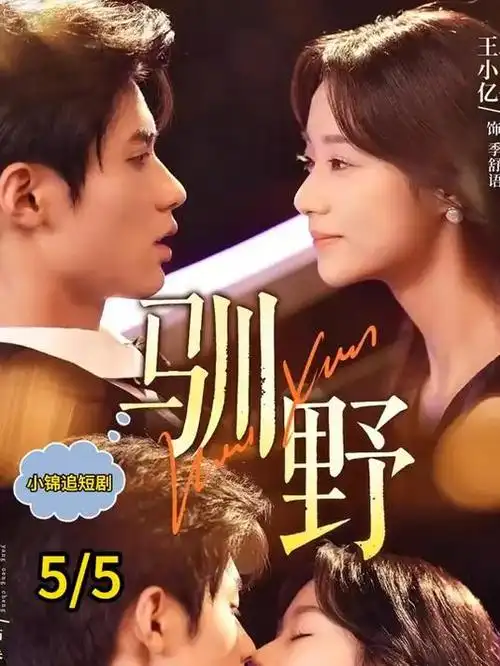 长街灯火电视剧在线观看